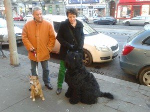 Belvárosi séta 2013.12.25-1