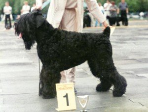 Bart Barby s Bronnich-Moszkva-brtinfo